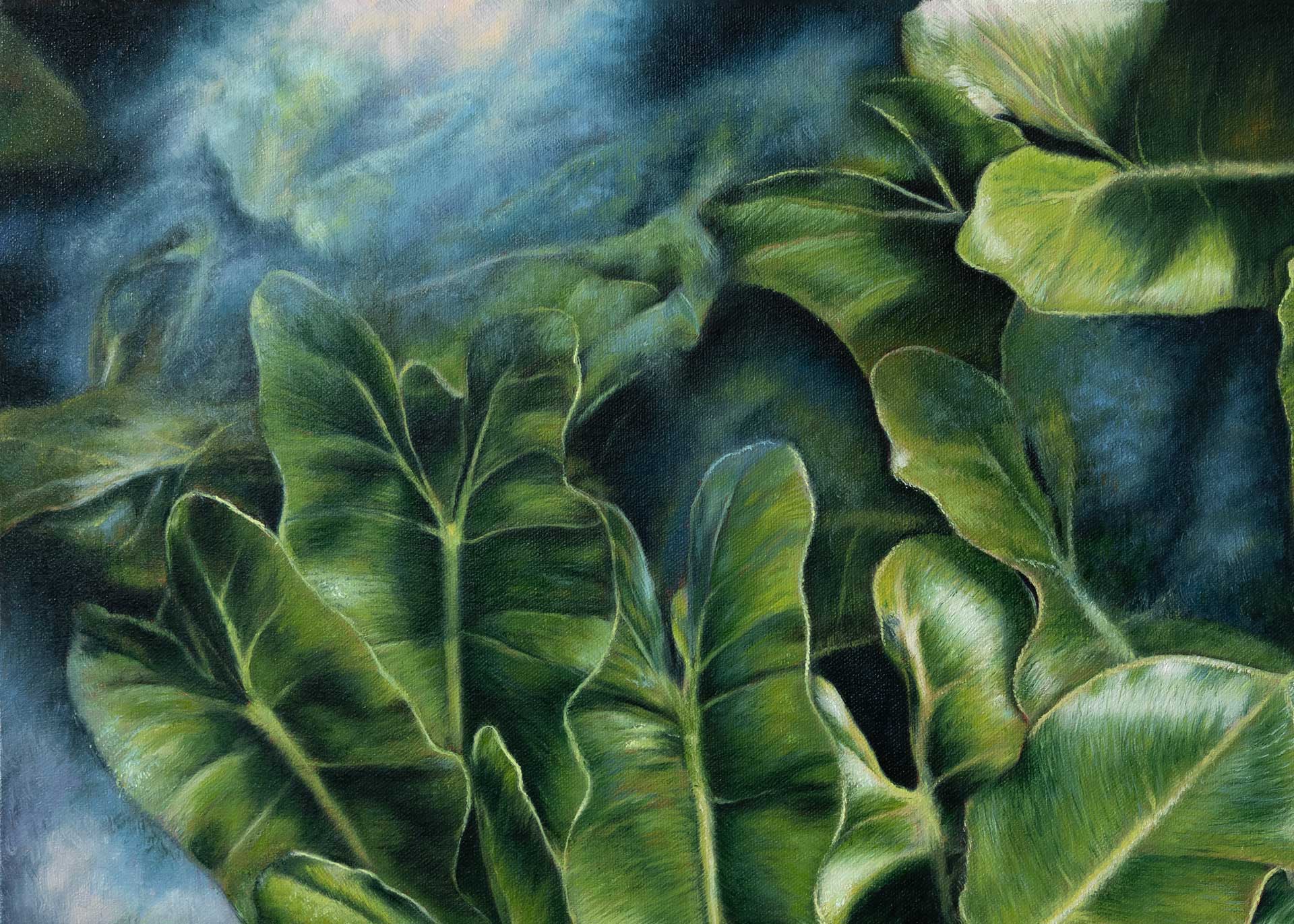 ÉmeraudesCaribéennes