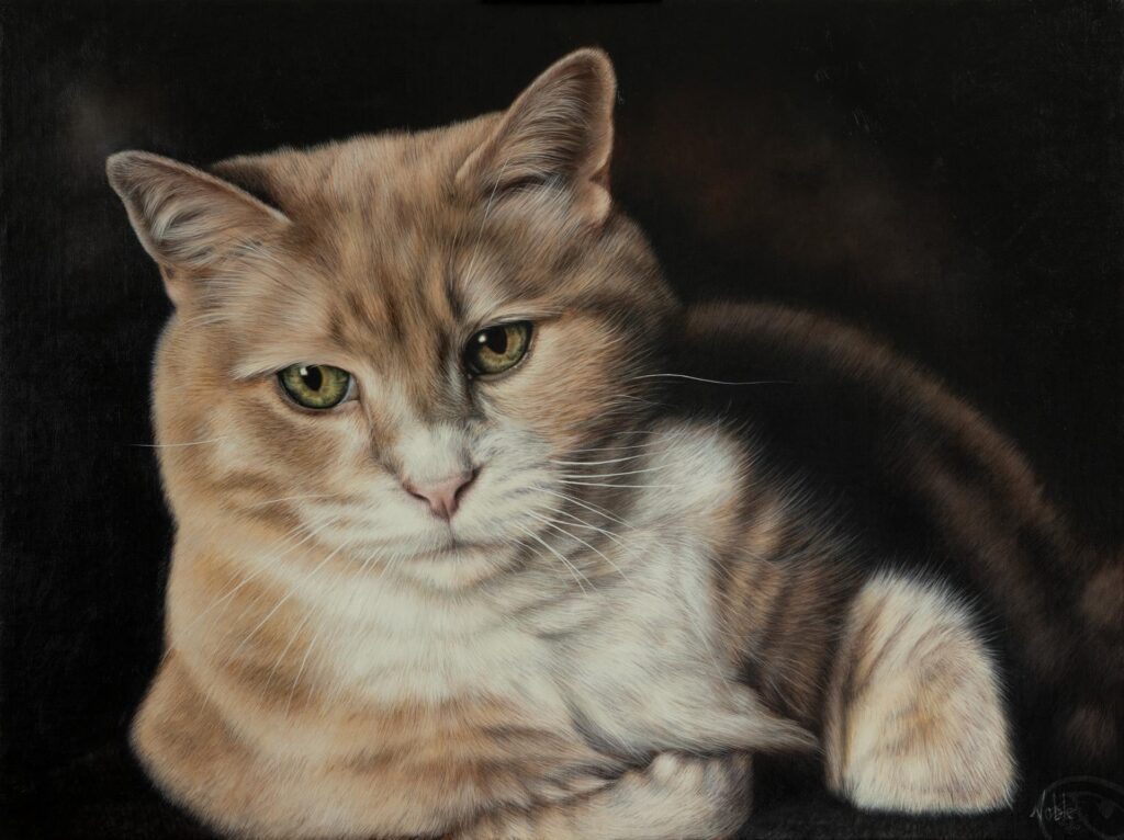 Commande personnalisée peinte à l'huile d'un chat roux